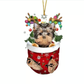 RED Goldendoodle In Snow Pocket Ornament