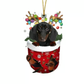 RED Goldendoodle In Snow Pocket Ornament